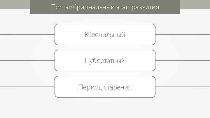 Постэмбриональный этап развития Ювенильный Пубертатный Период старения 