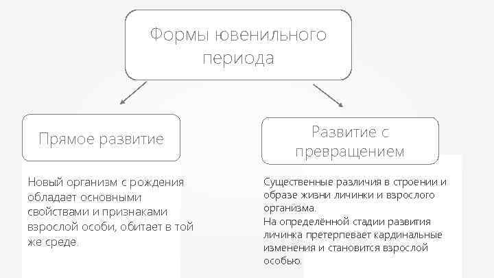 Формы ювенильного периода Прямое развитие Новый организм с рождения обладает основными свойствами и признаками