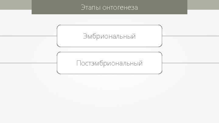 Этапы онтогенеза Эмбриональный Постэмбриональный 