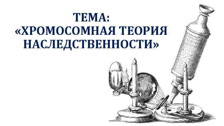 ТЕМА: «ХРОМОСОМНАЯ ТЕОРИЯ НАСЛЕДСТВЕННОСТИ» 