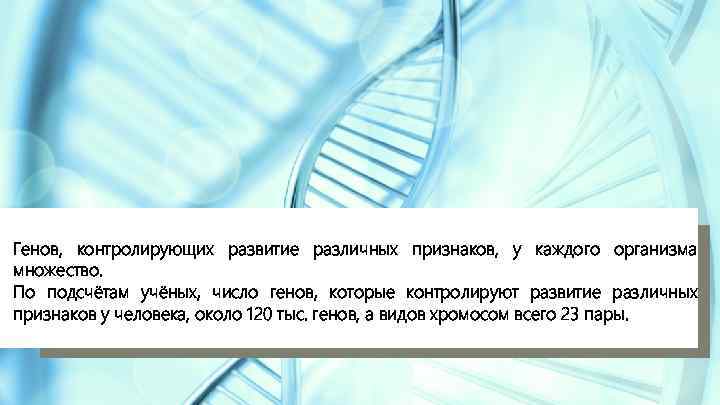 Генов, контролирующих развитие различных признаков, у каждого организма множество. По подсчётам учёных, число генов,