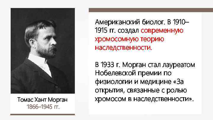 Американский биолог. В 1910– 1915 гг. создал современную хромосомную теорию наследственности. Томас Хант Морган