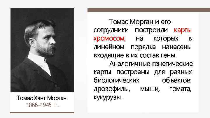 Томас Хант Морган 1866– 1945 гг. Томас Морган и его сотрудники построили карты хромосом,