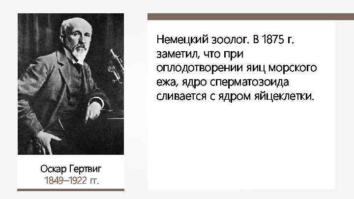 Немецкий зоолог. В 1875 г. заметил, что при оплодотворении яиц морского ежа, ядро сперматозоида