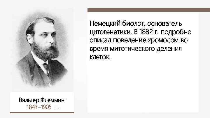 Немецкий биолог, основатель цитогенетики. В 1882 г. подробно описал поведение хромосом во время митотического