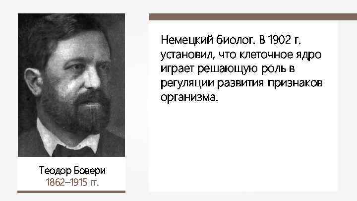 Немецкий биолог. В 1902 г. установил, что клеточное ядро играет решающую роль в регуляции