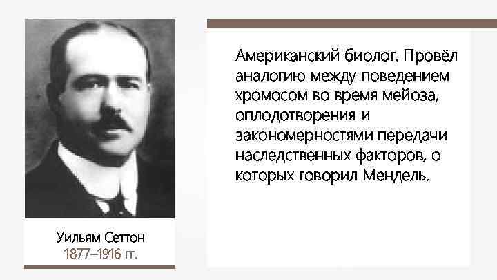 Американский биолог. Провёл аналогию между поведением хромосом во время мейоза, оплодотворения и закономерностями передачи