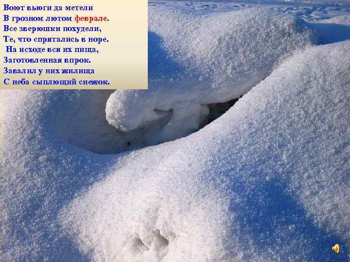 Воют вьюги да метели В грозном лютом феврале. Все зверюшки похудели, Те, что спрятались