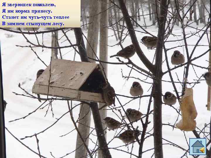 Я зверюшек пожалею, Я им корма принесу. Станет им чуть-чуть теплее В зимнем стынущем