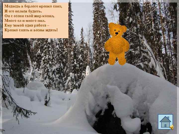 Медведь в берлоге крепко спит, И его нельзя будить. Он с осени свой жир