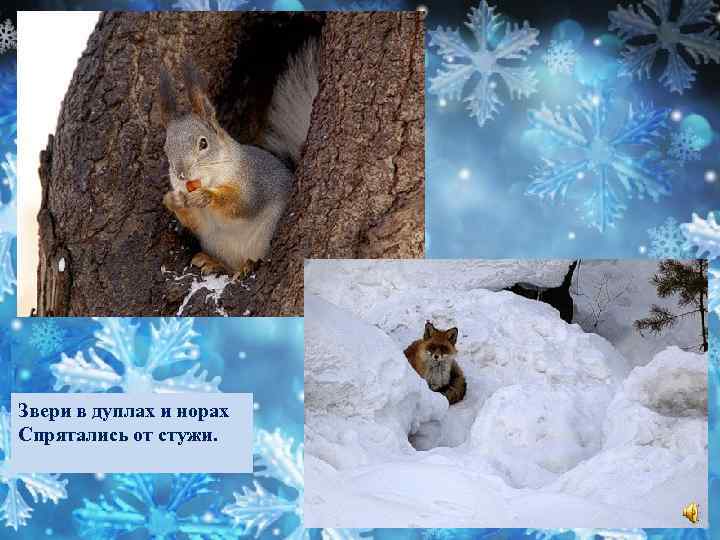 Звери в дуплах и норах Спрятались от стужи. 