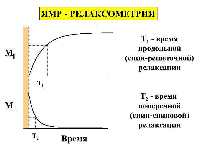 ЯМР - РЕЛАКСОМЕТРИЯ Т 1 - время продольной (спин-решеточной) релаксации M T 1 Т