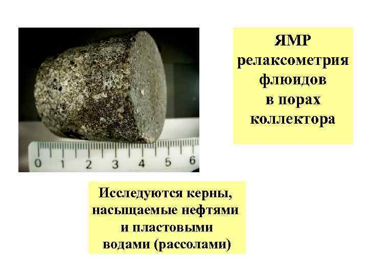 ЯМР релаксометрия флюидов в порах коллектора Исследуются керны, насыщаемые нефтями и пластовыми водами (рассолами)