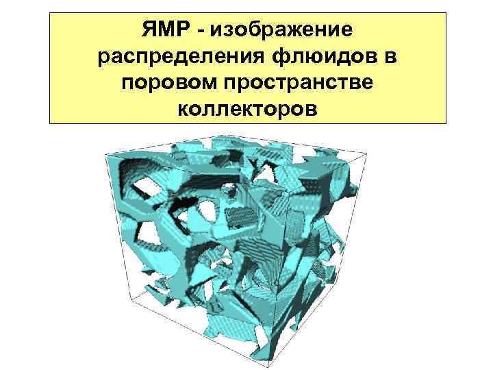 ЯМР - изображение распределения флюидов в поровом пространстве коллекторов 