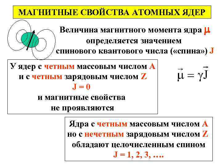 МАГНИТНЫЕ СВОЙСТВА АТОМНЫХ ЯДЕР Величина магнитного момента ядра определяется значением спинового квантового числа (