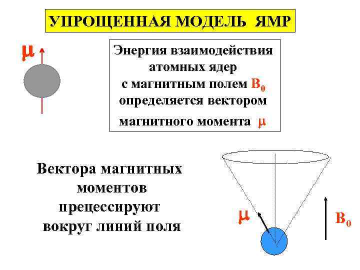 УПРОЩЕННАЯ МОДЕЛЬ ЯМР Энергия взаимодействия атомных ядер с магнитным полем B 0 определяется вектором