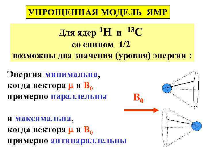 УПРОЩЕННАЯ МОДЕЛЬ ЯМР Для ядер 1 Н и 13 С со спином 1/2 возможны
