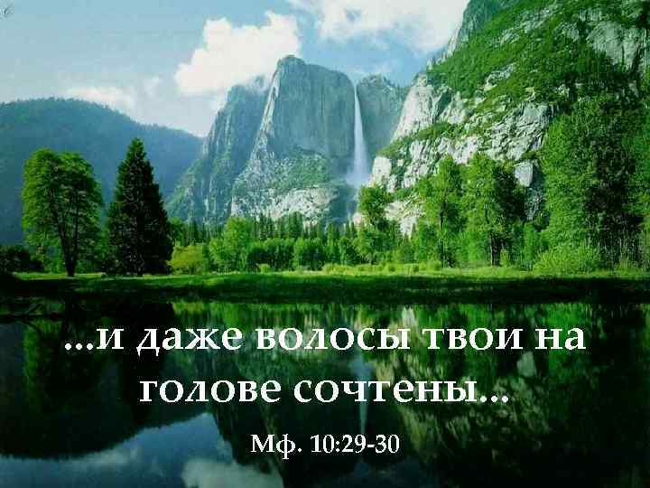 . . . и даже волосы твои на голове сочтены. . . Мф. 10: