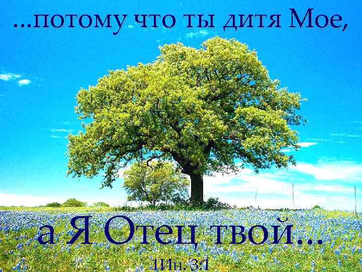 . . . потому что ты дитя Мое, а Я Отец твой. . .