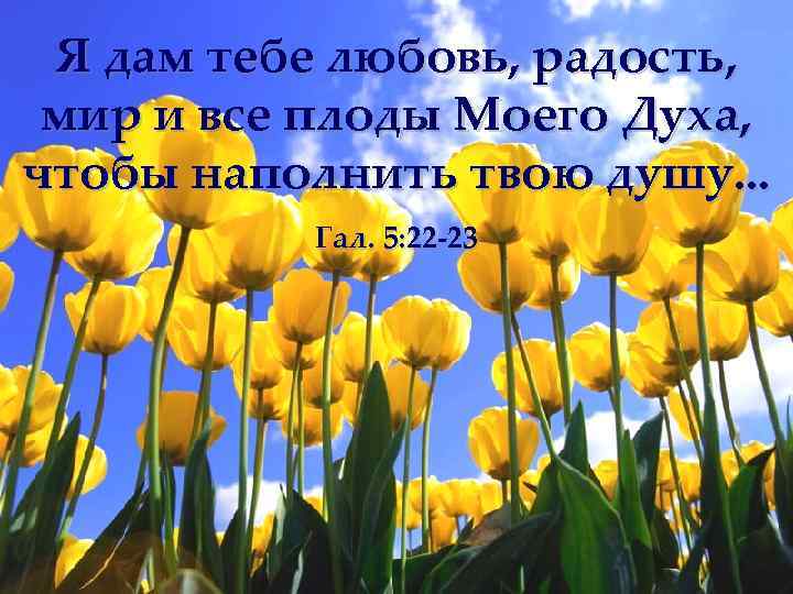 Я дам тебе любовь, радость, мир и все плоды Моего Духа, чтобы наполнить твою
