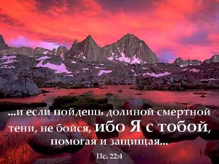 . . . и если пойдешь долиной смертной тени, не бойся, ибо Я с