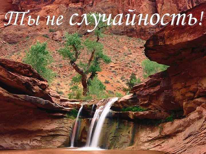 Ты не случайность! 