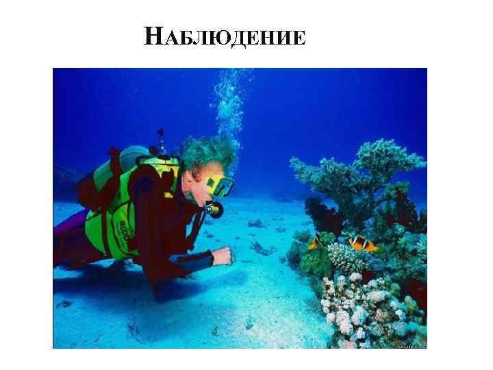 НАБЛЮДЕНИЕ 