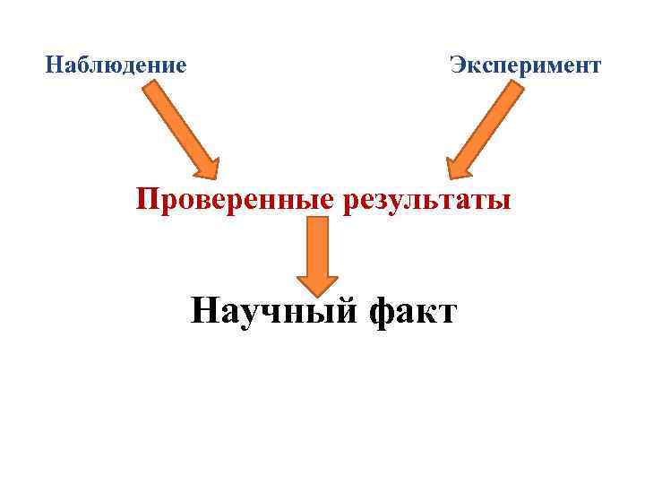 Наблюдение Эксперимент Проверенные результаты Научный факт 