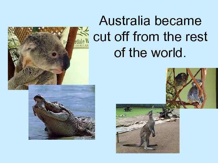 Australia became cut off from the rest of the world. 