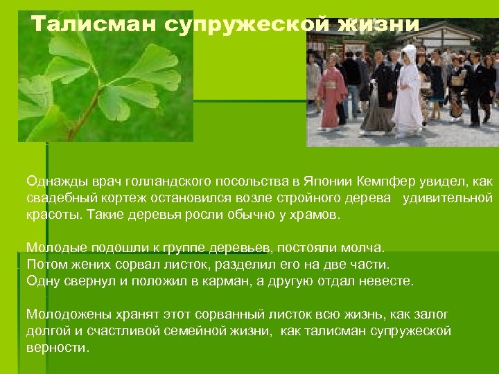 Талисман супружеской жизни Однажды врач голландского посольства в Японии Кемпфер увидел, как свадебный кортеж