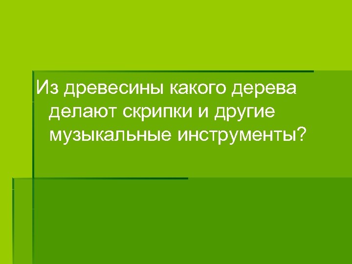 Из древесины какого дерева делают скрипки и другие музыкальные инструменты? 