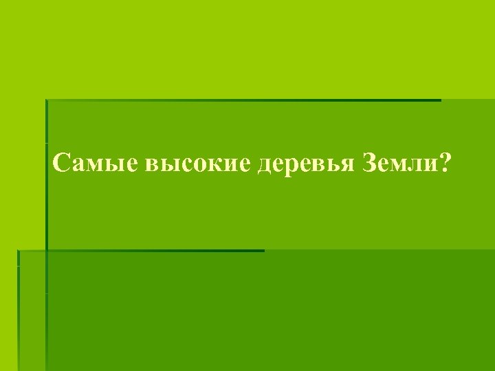 Самые высокие деревья Земли? 