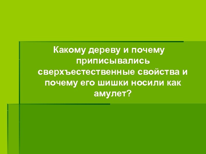 Какому дереву и почему приписывались сверхъестественные свойства и почему его шишки носили как амулет?