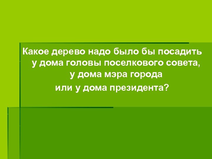 Какое дерево надо было бы посадить у дома головы поселкового совета, у дома мэра