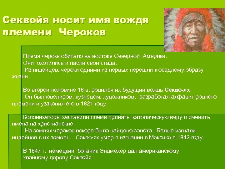 Секвойя носит имя вождя племени Чероков Племя черокв обитало на востоке Северной Америки. Они