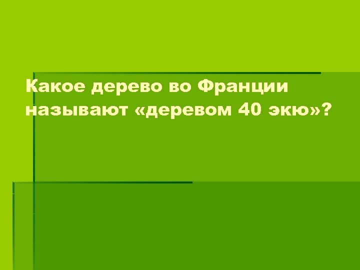 Какое дерево во Франции называют «деревом 40 экю» ? 