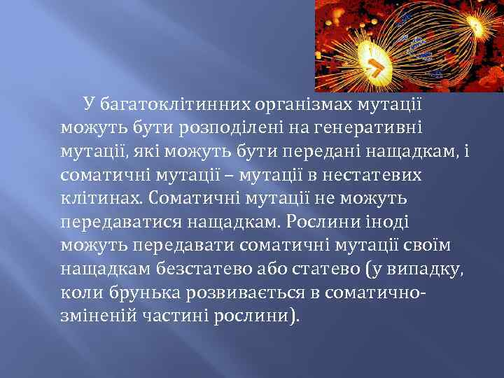 У багатоклітинних організмах мутації можуть бути розподілені на генеративні мутації, які можуть бути передані