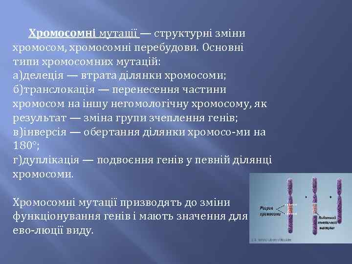 Хромосомні мутації — структурні зміни хромосом, хромосомні перебудови. Основні типи хромосомних мутацій: а)делеція —