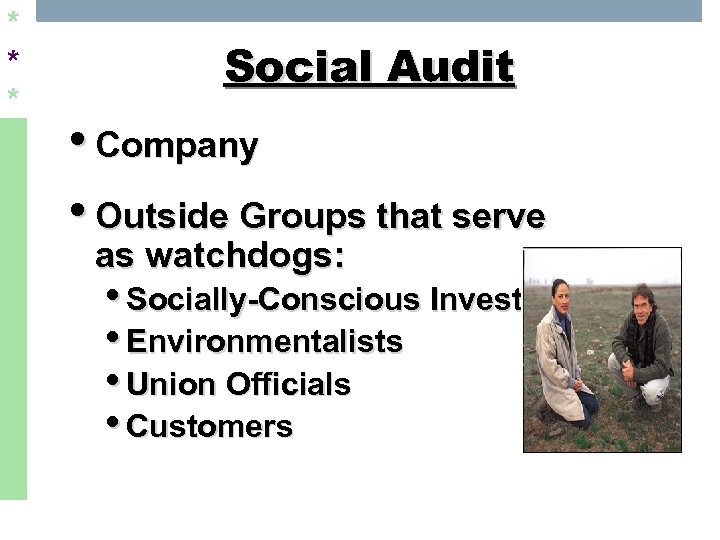 * * * Social Audit • Company • Outside Groups that serve as watchdogs: