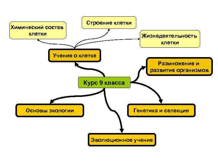 Строение химический состав и жизнедеятельность клетки 8 класс презентация