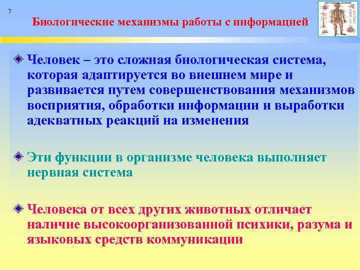 7 Биологические механизмы работы с информацией Человек – это сложная биологическая система, которая адаптируется