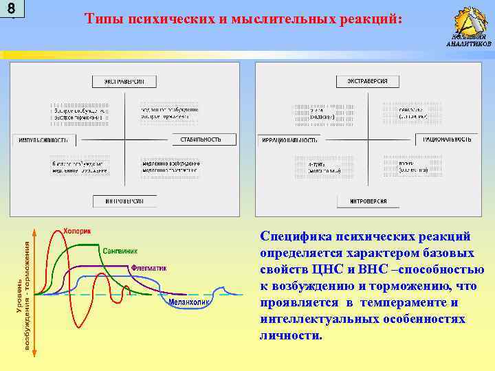 8 8 Типы психических и мыслительных реакций: Специфика психических реакций определяется характером базовых свойств