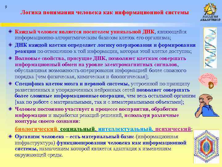 9 Логика понимания человека как информационной системы Каждый человек является носителем уникальной ДНК, являющейся