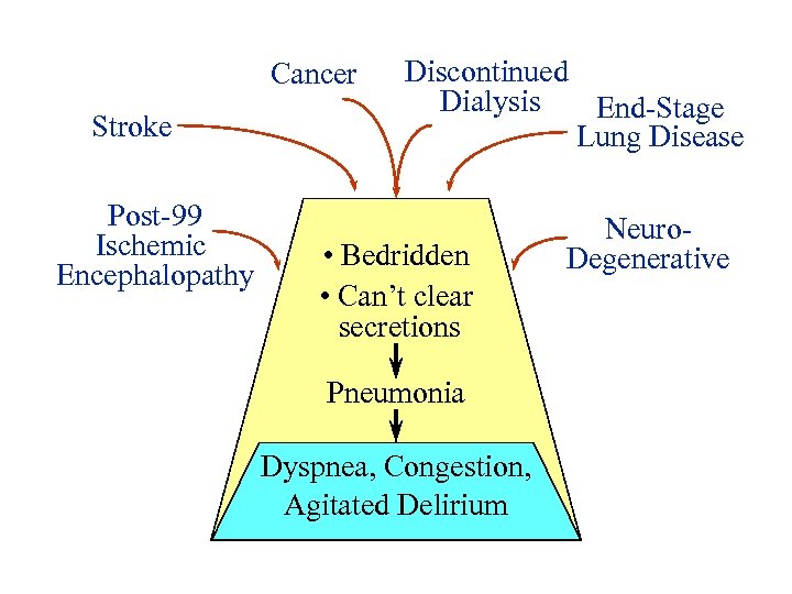 Cancer Stroke Post-99 Ischemic Encephalopathy Discontinued Dialysis End-Stage Lung Disease • Bedridden • Can’t