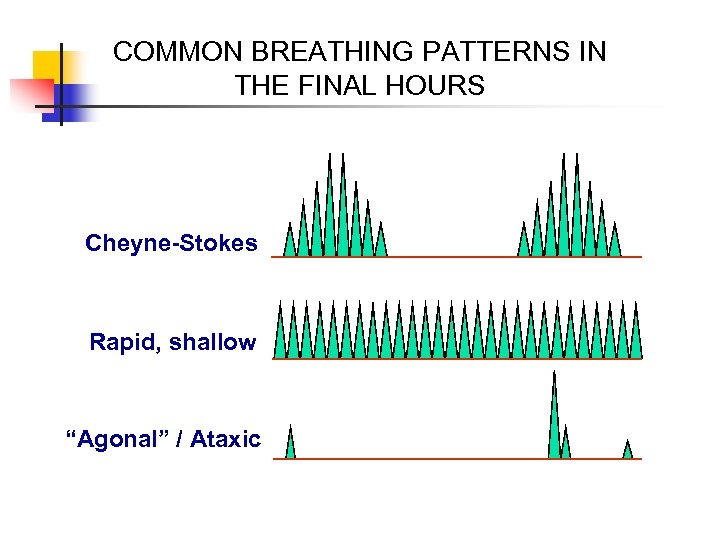 COMMON BREATHING PATTERNS IN THE FINAL HOURS Cheyne-Stokes Rapid, shallow “Agonal” / Ataxic 