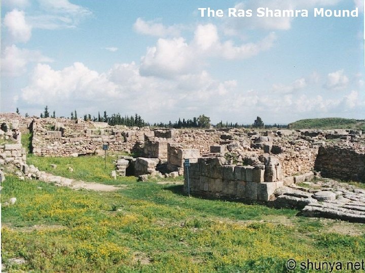 The Ras Shamra Mound 