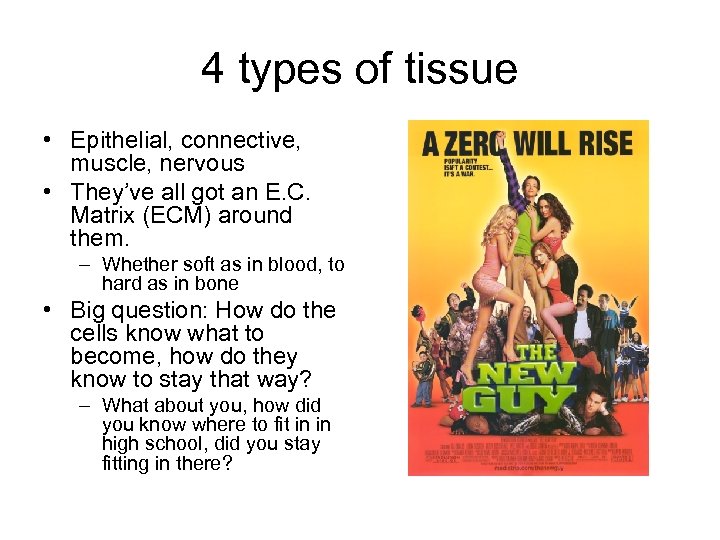4 types of tissue • Epithelial, connective, muscle, nervous • They’ve all got an