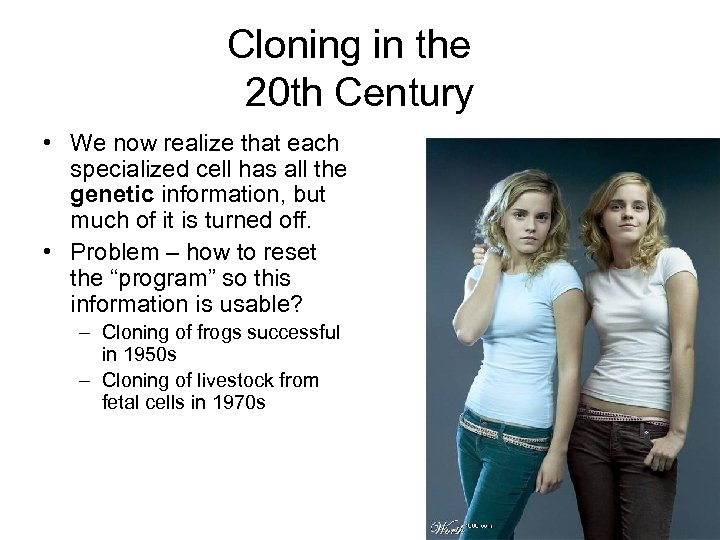 Cloning in the 20 th Century • We now realize that each specialized cell
