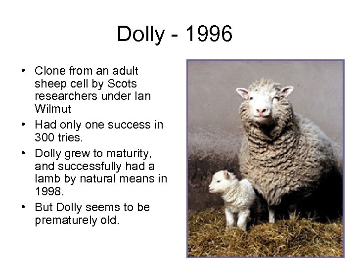 Dolly - 1996 • Clone from an adult sheep cell by Scots researchers under