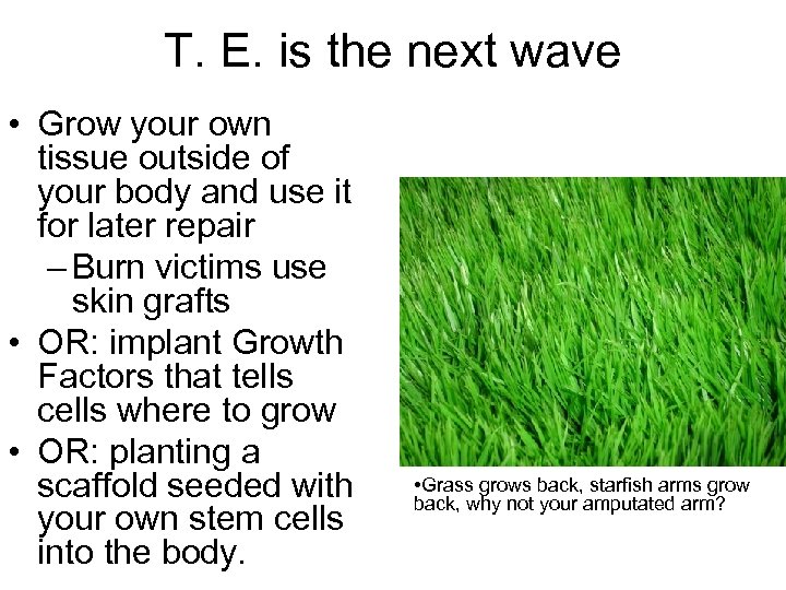 T. E. is the next wave • Grow your own tissue outside of your